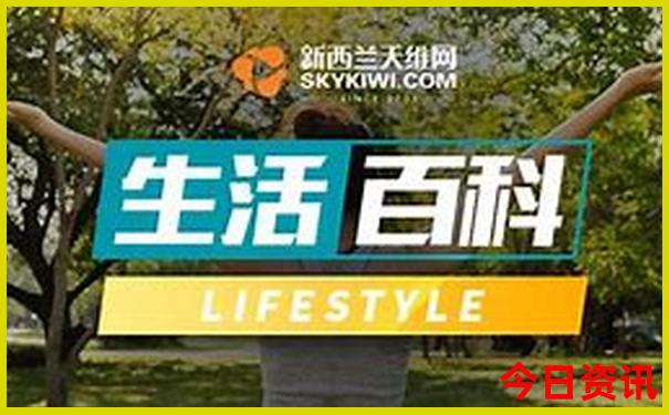 重庆主城好玩的地方有哪些地方